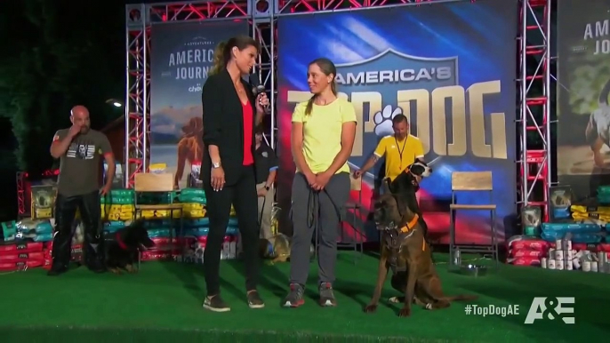 America's Top Dog - Se1 - Ep04 - Double Down on the Underdog HD Watch HD Deutsch