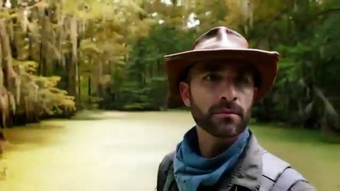 Coyote Peterson - Brave the Wild - Se1 - Ep08 HD Watch HD Deutsch