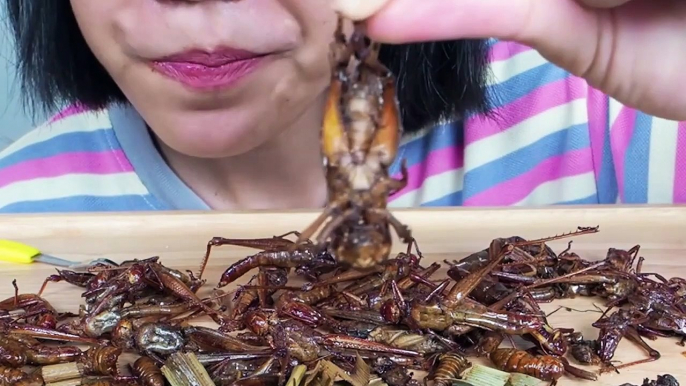 #Extreme Food - This Youtuber eats cockroaches!?