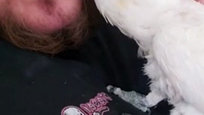 Guy Cuddles an Adorable Cockatoo