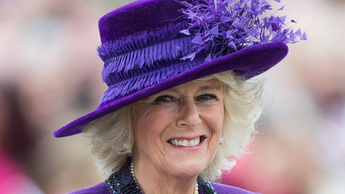 Queen Consort Camilla says the British Forces Broadcasting Service has 'lived up' to their motto