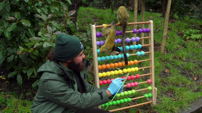 London Zoo kicks off the New Year with annual stock take. Credit: ZSL London Zoo