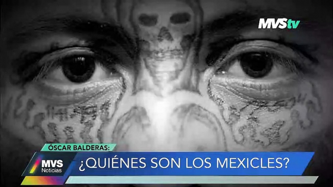 Nación criminal con Óscar Balderas -: ¿Quiénes son los mexicles? MVS NOTICIAS