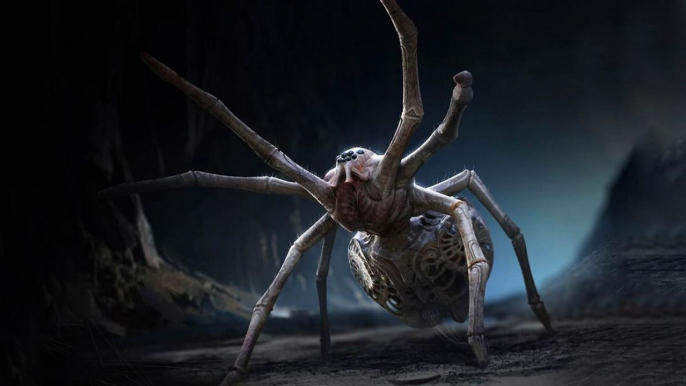 What If Spiders Were the Size of Humans?