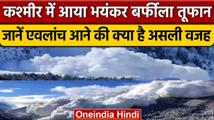 Jammu Kashmir Avalanche: आखिर क्यों आते हैं बर्फीले तूफान, Baltal में क्या थी वजह?। वनइंडिया हिंदी