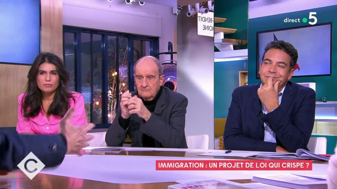 Daniel Cohn-Bendit provoque de nombreuses réactions après ses déclarations : "Si l'identité française, ce n'était que le peuple du RN et de Zemmour, il faudrait fuir le pays ! Ne restez plus là, c'est horrible"