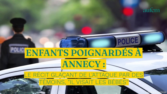 Enfants poignardés à Annecy : le récit glaçant de l'attaque par des témoins, "il visait les bébés"