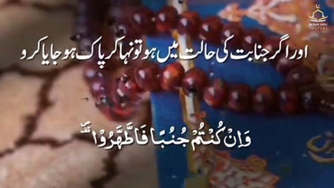 Quran whatsapp status _ Islamic Whatsapp Status _ Quran Urdu translation _ Quran