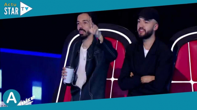 « Ils me font de la peine » : sans talent pour la finale de The Voice, Bigflo et Oli attristent les