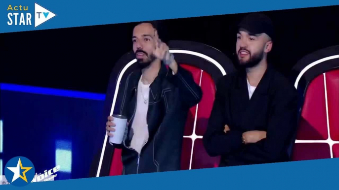 « Ils me font de la peine » : sans talent pour la finale de The Voice, Bigflo et Oli attristent les