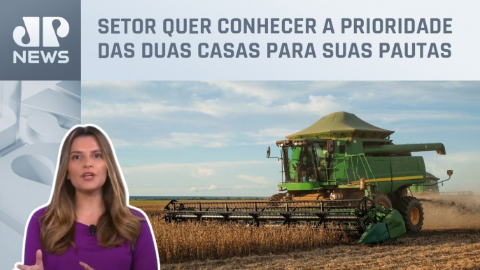 Kellen Severo: Eleições no Congresso estão na mira do agro