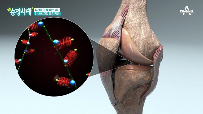 관절은 생활 습관 개선이 중요! 관절에 좋은 생활 습관은?