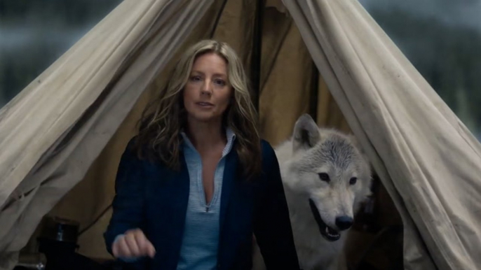 Busch Light spoofs Sarah McLachlan’s animal cruelty campaign in new Super Bowl ad