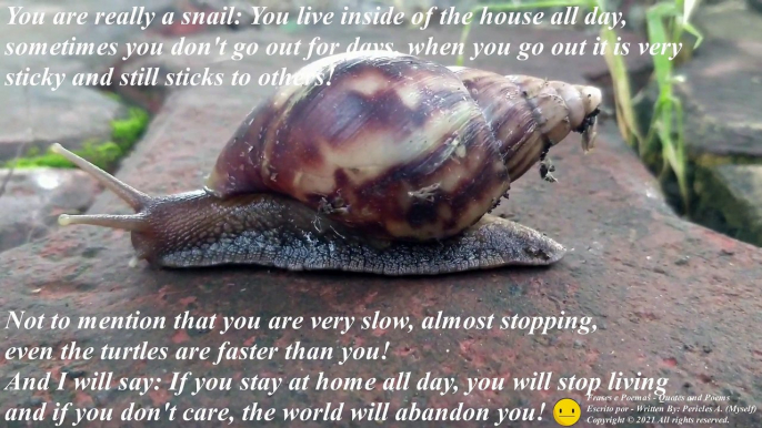 You are really a snail: Stay inside of home, it is sticky! For God's sake... [Quotes and Poems]