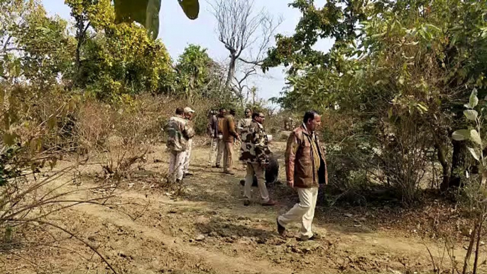 Leopard strayed from forest, trapped in fencing and wire noose