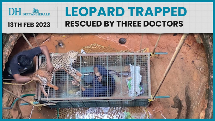 Karnataka: Leopard trapped in well rescued