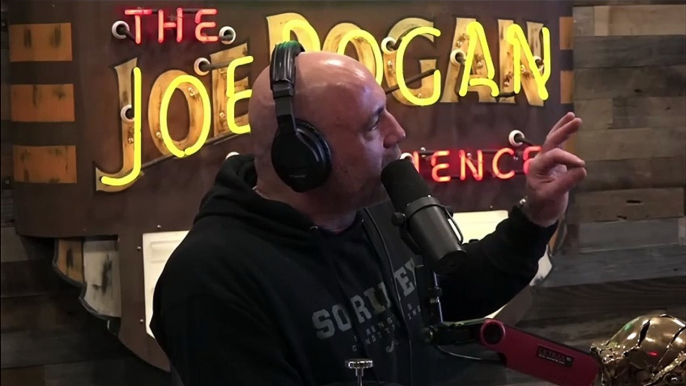 ChatGPT Attempt To Criticize Fauci & Evolving Opinion During The Podcast - Joe Rogan Experience