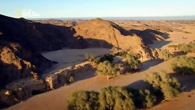 [National Geographic] Wild Namibia  Africa's Dry Savannah (Wildlife Documentary)