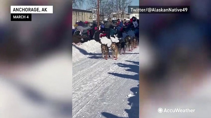 Paws and sleds showcased at 51st Iditarod opening ceremony