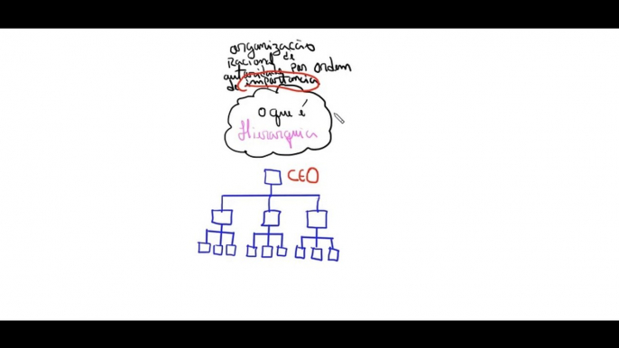 O que é Hierarquia | Administração geral