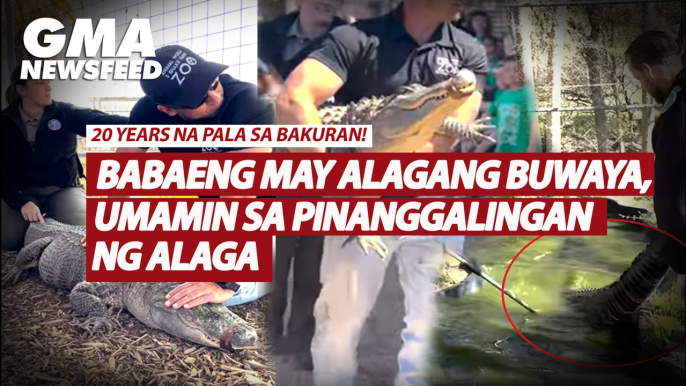 Babaeng may alagang buwaya, umamin sa pinanggalingan ng alaga | GMA News Feed