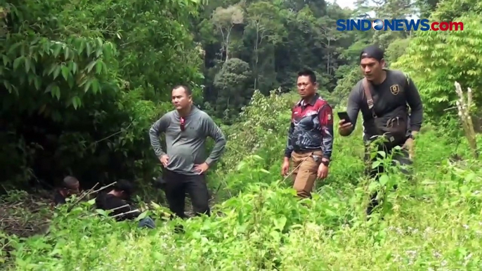 Polda Metro Jaya Temukan 11 Hektare Ladang Ganja di Mandailing Natal