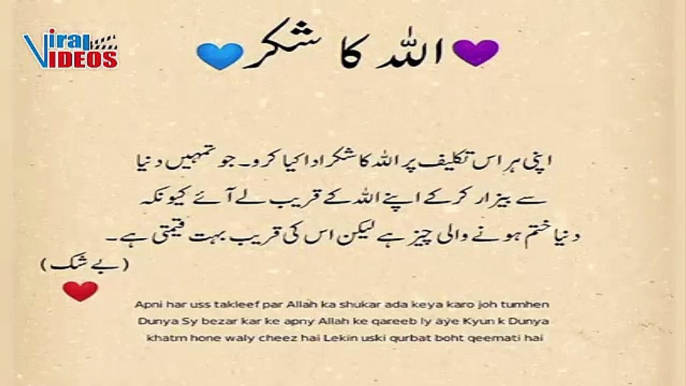 True lines  Islamic quotes about life Islamic quotes in Urdu