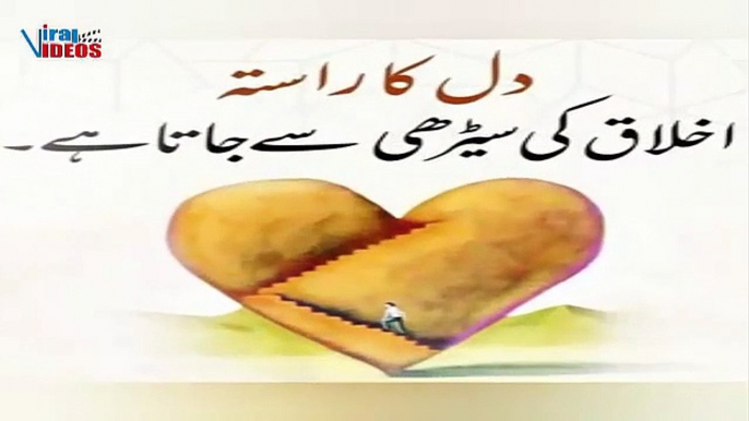 Best Islamic Urdu Quotes|True line Urdu poetry|Islamic quotes|Urdu poetry