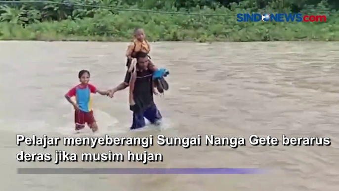 Siswa SD Menantang Maut Demi Sekolah, Seberangi Sungai Deras di Sikka