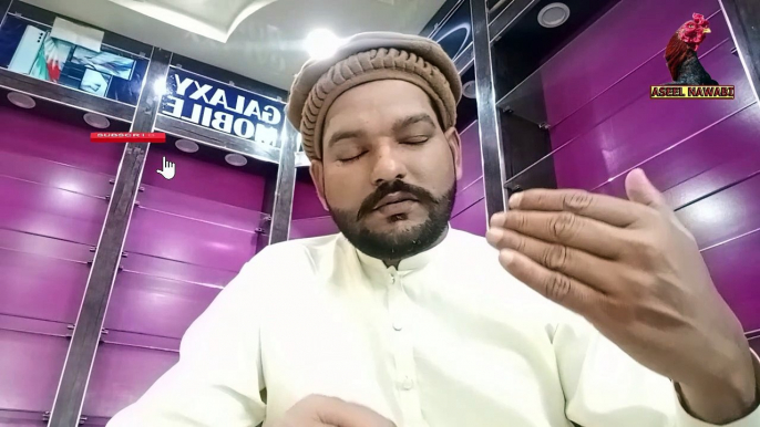 Aseel Murgy Ko Mazboot Karne Ka Tarika Murga Ki Best Khurak