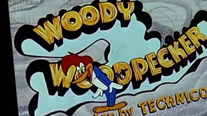 Woody Woodpecker Woody Woodpecker E065 – Bunco Busters