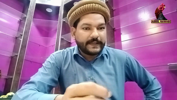 Murgi anda dena band kar de to kya kare