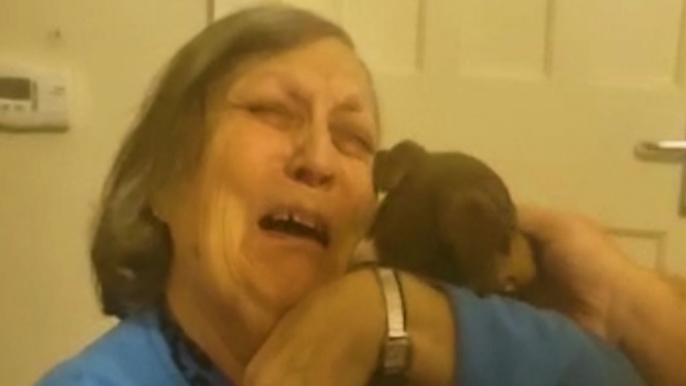 Elder lady who lives alone reacts WHOLESOMELY when gifted a puppy by a kind-hearted gentleman