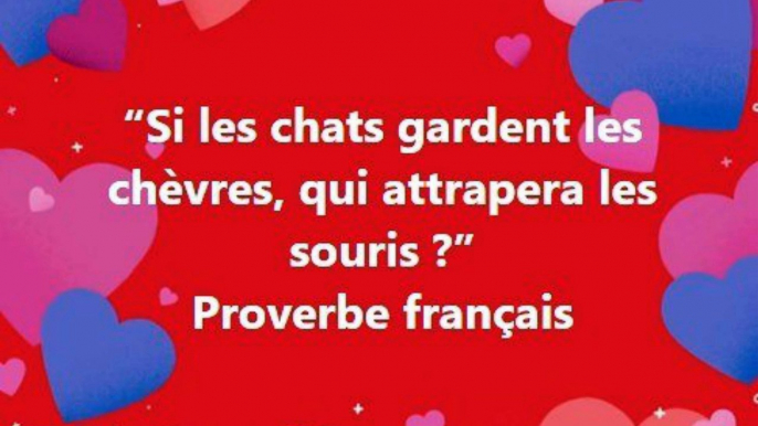 4) “Si les chats gardent les chèvres, qui attrapera les souris” Proverbe français Proverbe français