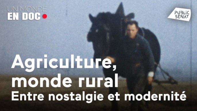 Un monde en doc : Agriculture, monde rural, entre nostalgie et la modernité