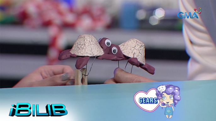 iBilib: Let’s make cute moving turtles using clothespins and clay!