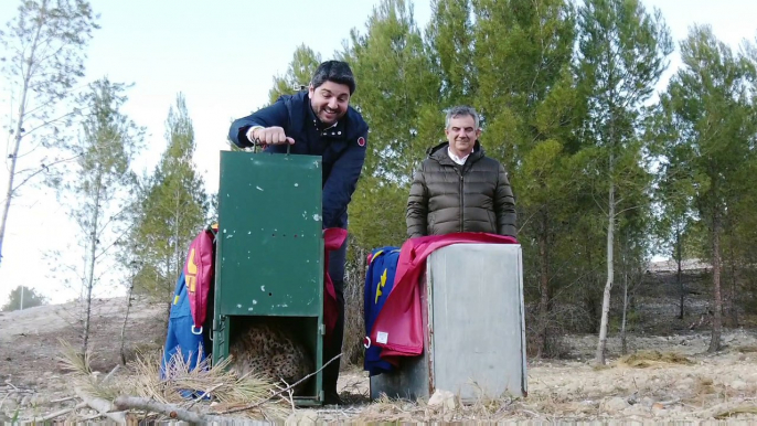 El presidente de Murcia, Fernando López Miras, y el consejero de Medio Ambiente, Juan María Vázquez, este jueves, en la suelta de linces en Lorca.