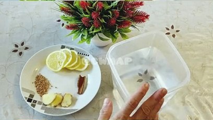 چٹکیوں میں وزن کم کرنے والا پانی Weight loss Water Without Skipping Meals Recipe & Tips By CWMAP