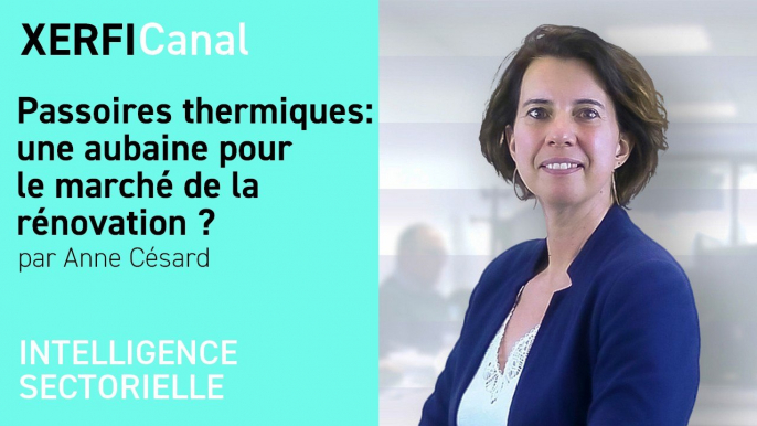 Passoires thermiques : une aubaine pour le marché de la rénovation ? [Anne Césard]