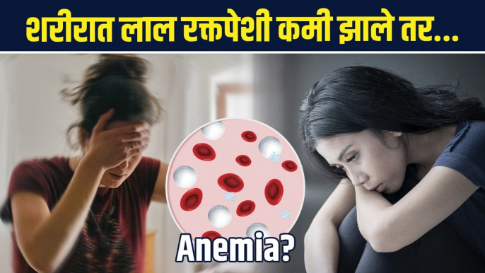 लाल रक्तपेशी कसे वाढवायचेलाल रक्त पेशी वाढवण्यासाठी घरगुती उपाय How to Increase Red Blood Cells |Hemoglobin Increase Food AI2