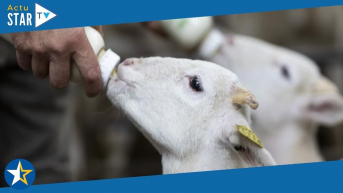 Familles d'agriculteurs, L'amour est dans le pré, Aidons nos fermes... Pourquoi l'agriculteur est de