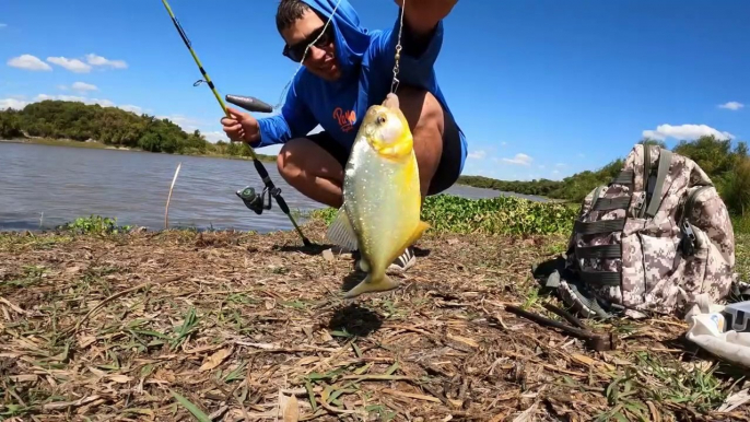 Encontramos el nido de las Pirañas, Pesca y Cocina, Pirañas Asada a la Parrilla