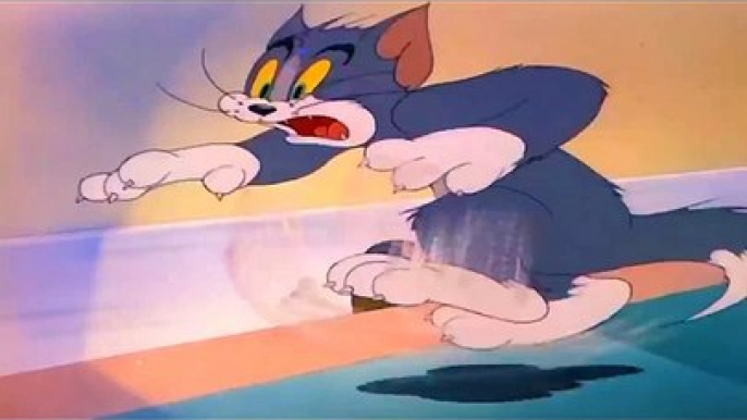 Tom And Jerry Show Classic Cartoons wb animation -funny cartoons