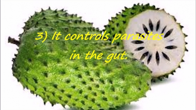 Health Tips: 15 Reasons Why You should Eat Soursop Everyday.