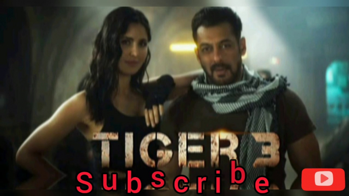 Tiger 3 Interesting Facts | Interesting Facts About Tiger 3 Movie | Salman Khan | Katrina kaif