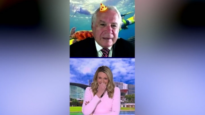 TV reporter bursts into fit of giggles after interviewee’s Zoom filter fail