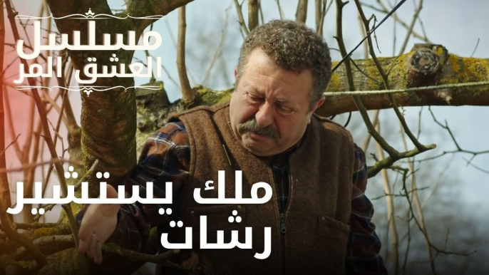 ملك يستشير رشات | مسلسل الحب المر - الحلقة 12