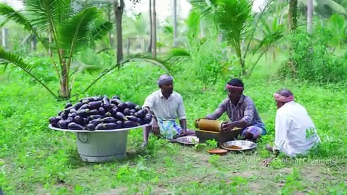 BIG_BRINJAL___Fried_Baingan_Recipe___Brinjal_Tawa_Fry_Recipe_Cooking_in_Village___Eggplant_Recipe(360p)