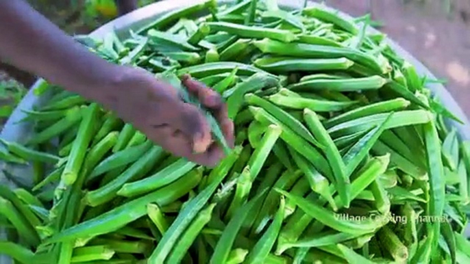LADY_FINGER_FRY___Spicy_Okra_Recipe_Cooking_with_Eggs___Village_Style_Okra_Recipe___Cooking_Okra(360p)