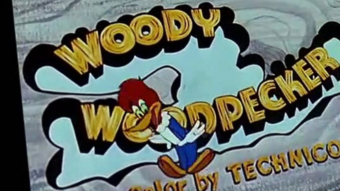 Woody Woodpecker Woody Woodpecker E065 – Bunco Busters